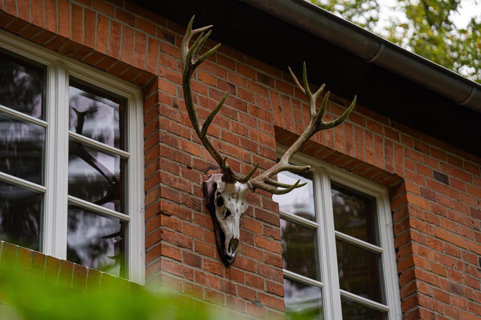 Wald- Und Seeidyll Im Historischen Forsthaus Neuruppin Exterior photo
